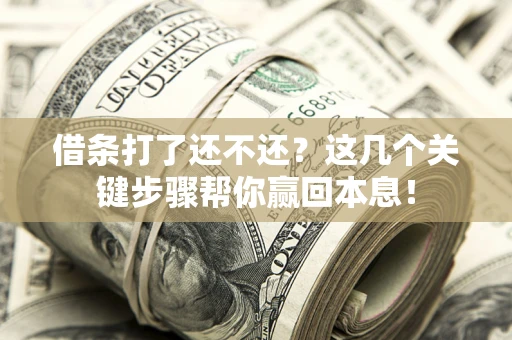 济南借条打了还不还？这几个关键步骤帮你赢回本息！