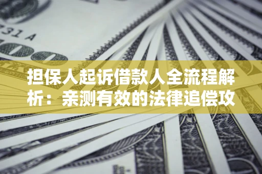 济南担保人起诉借款人全流程解析：亲测有效的法律追偿攻略