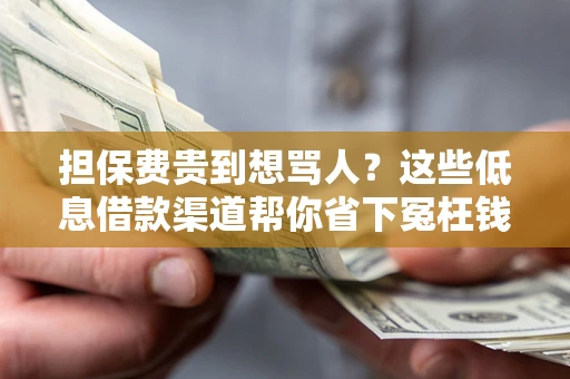 济南担保费贵到想骂人？这些低息借款渠道帮你省下冤枉钱