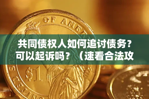 济南共同债权人如何追讨债务？可以起诉吗？（速看合法攻略）