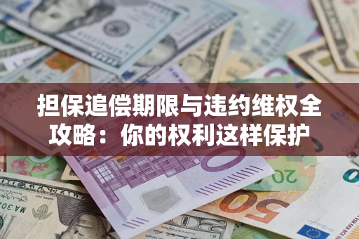 济南担保追偿期限与违约维权全攻略：你的权利这样保护